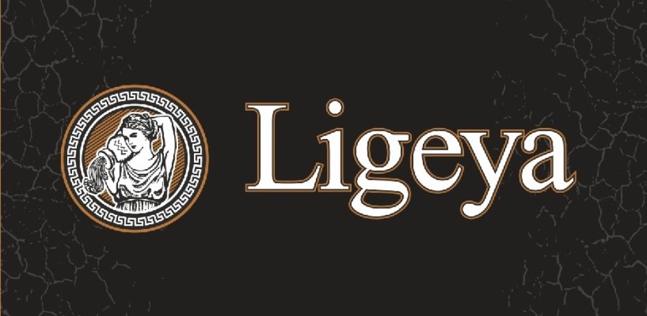 Ligeya логотип
