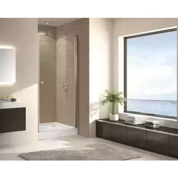 Душевая дверь ECO-B-1-65-P-Cr 650x1900