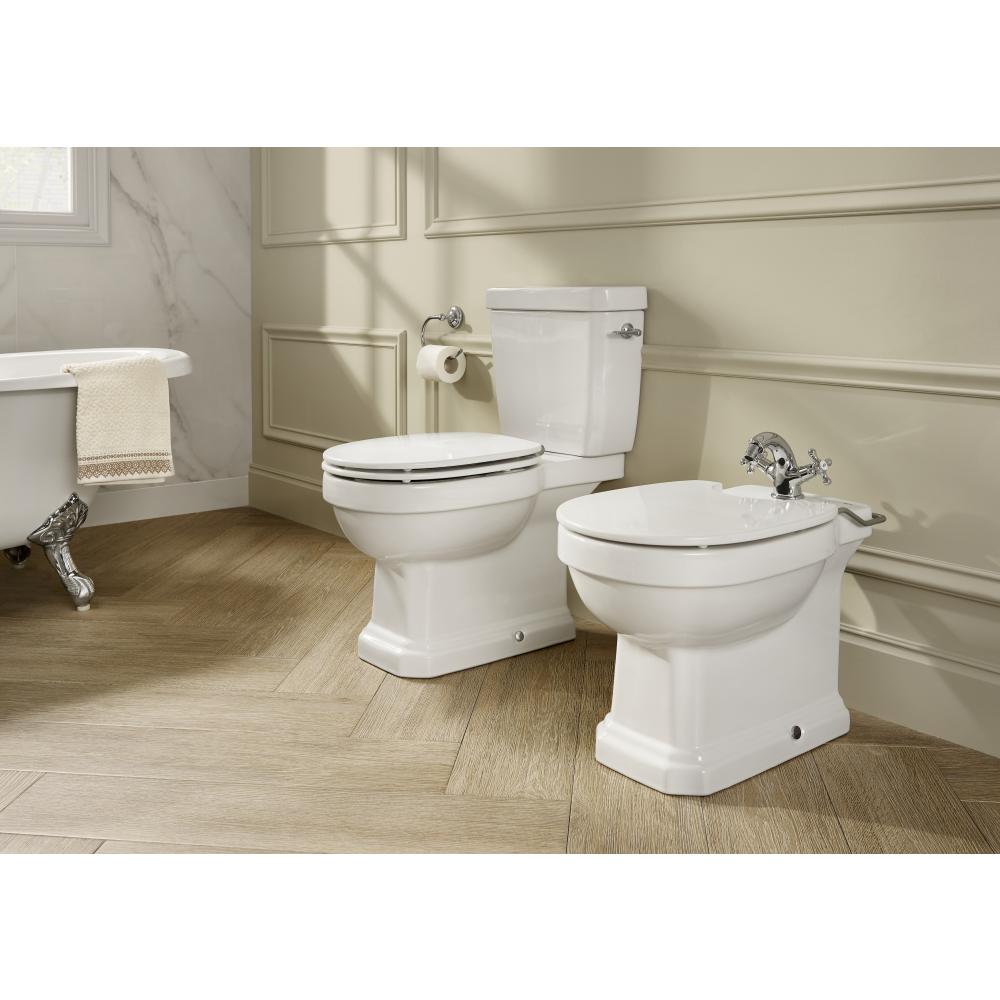 Унитаз напольный CARMEN двойной выпуск rimless 3420A7000