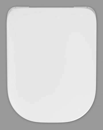 Крышка/сидение GAP 801472001