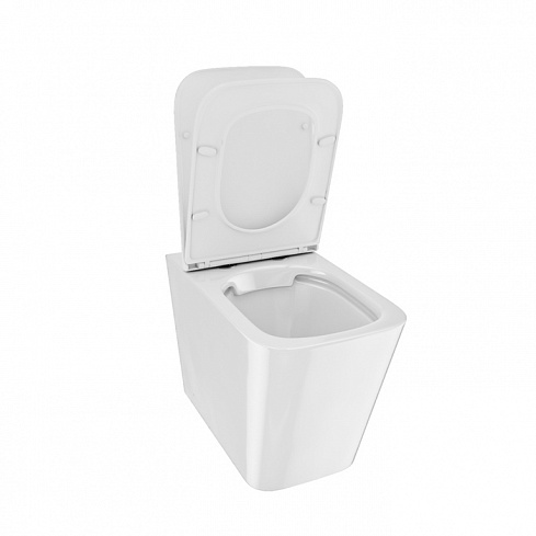 Унитаз приставной безободковый Bild BILRDSEi26 IDDIS