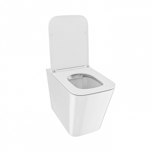 Унитаз приставной безободковый Bild BILRDSEi26 IDDIS