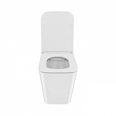 Унитаз приставной безободковый Bild BILRDSEi26 IDDIS