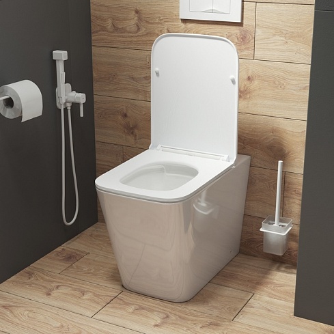 Унитаз приставной безободковый Bild BILRDSEi26 IDDIS