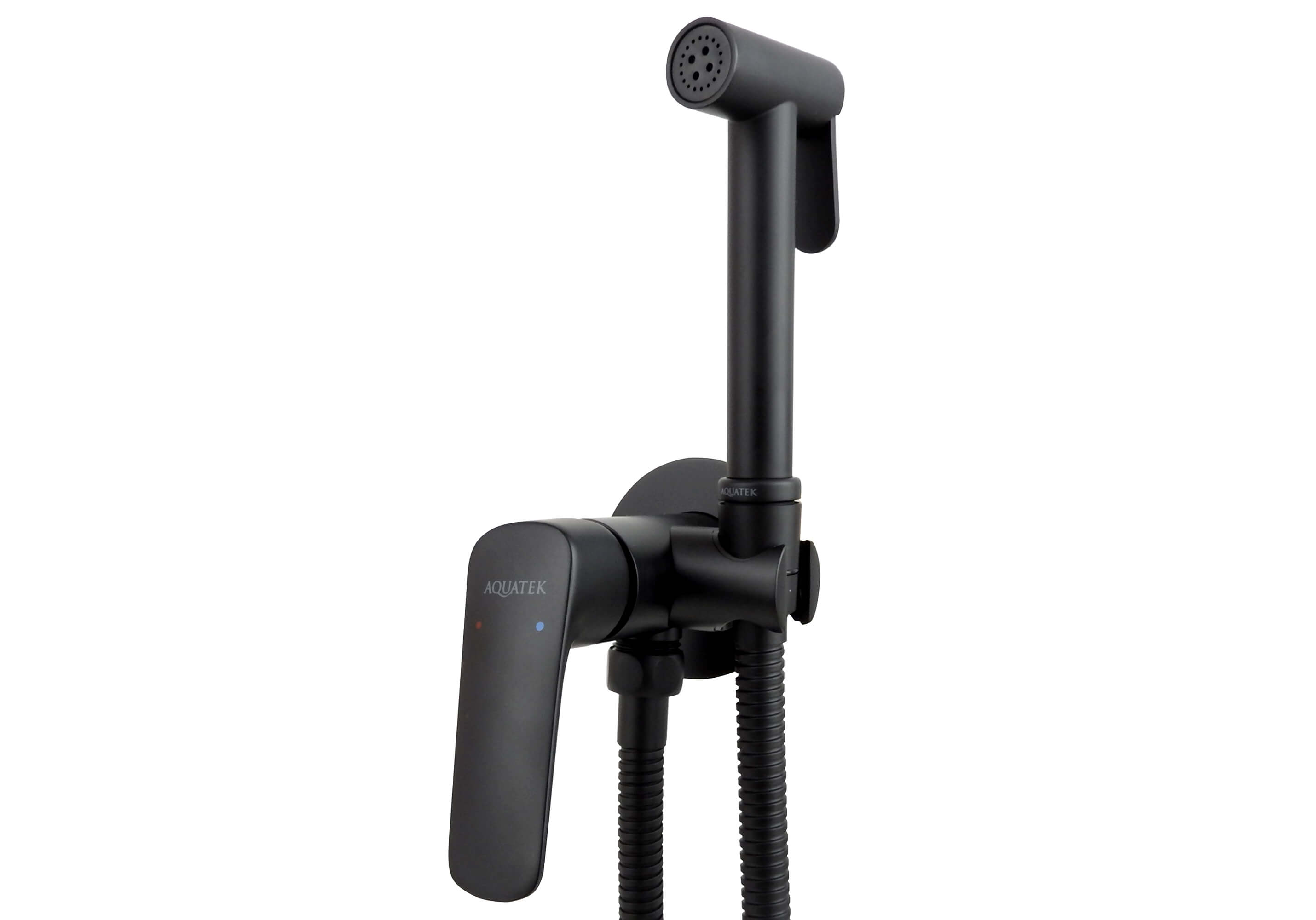 Встраиваемый гигиенический комплект Вега AQ1019BGM оружейная сталь Aquatek