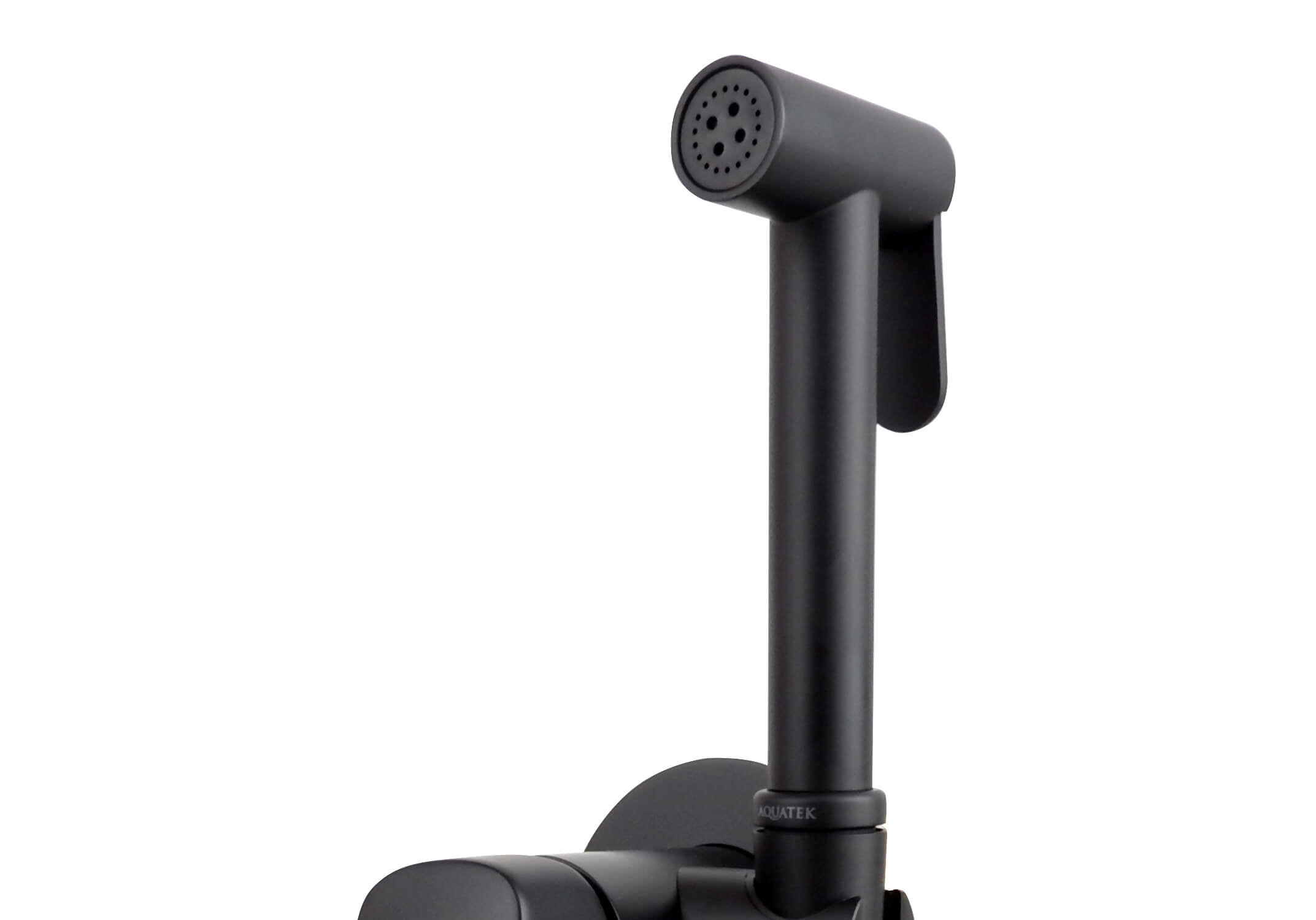 Встраиваемый гигиенический комплект Вега AQ1019BGM оружейная сталь Aquatek