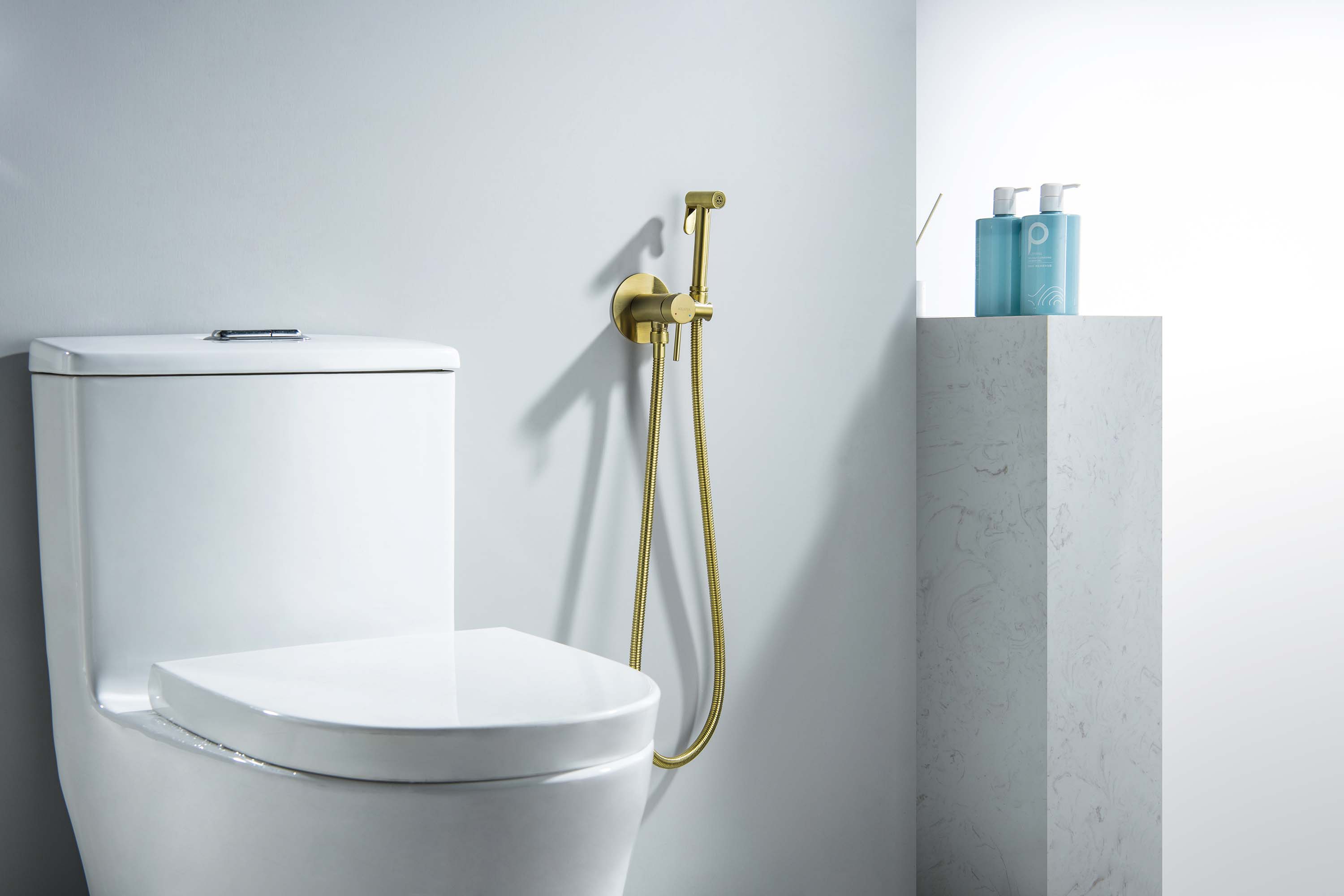 Встраиваемый гигниенический комплект Европа AQ1021BG шлифованное золото Aquatek