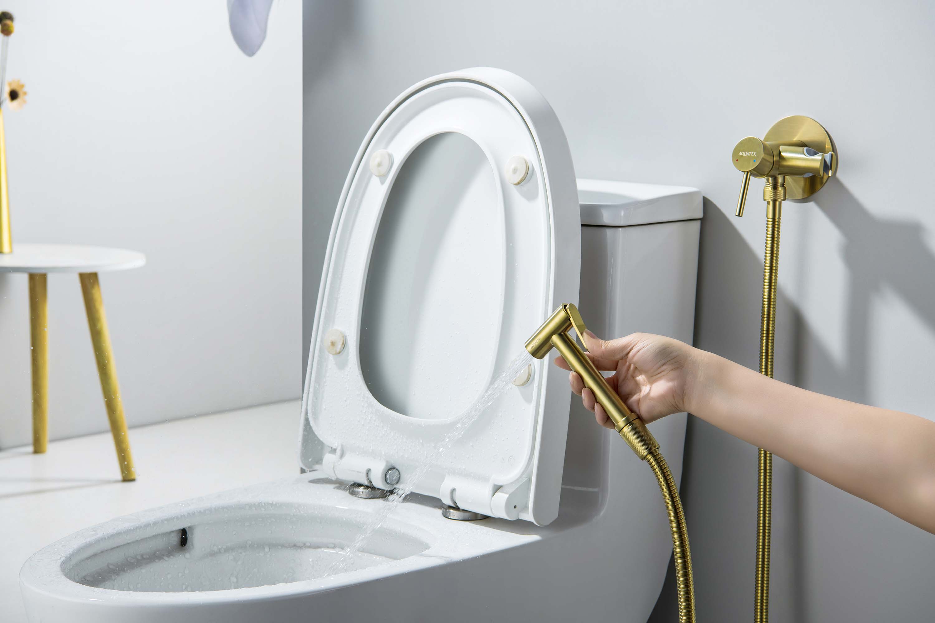 Встраиваемый гигниенический комплект Европа AQ1021BG шлифованное золото Aquatek