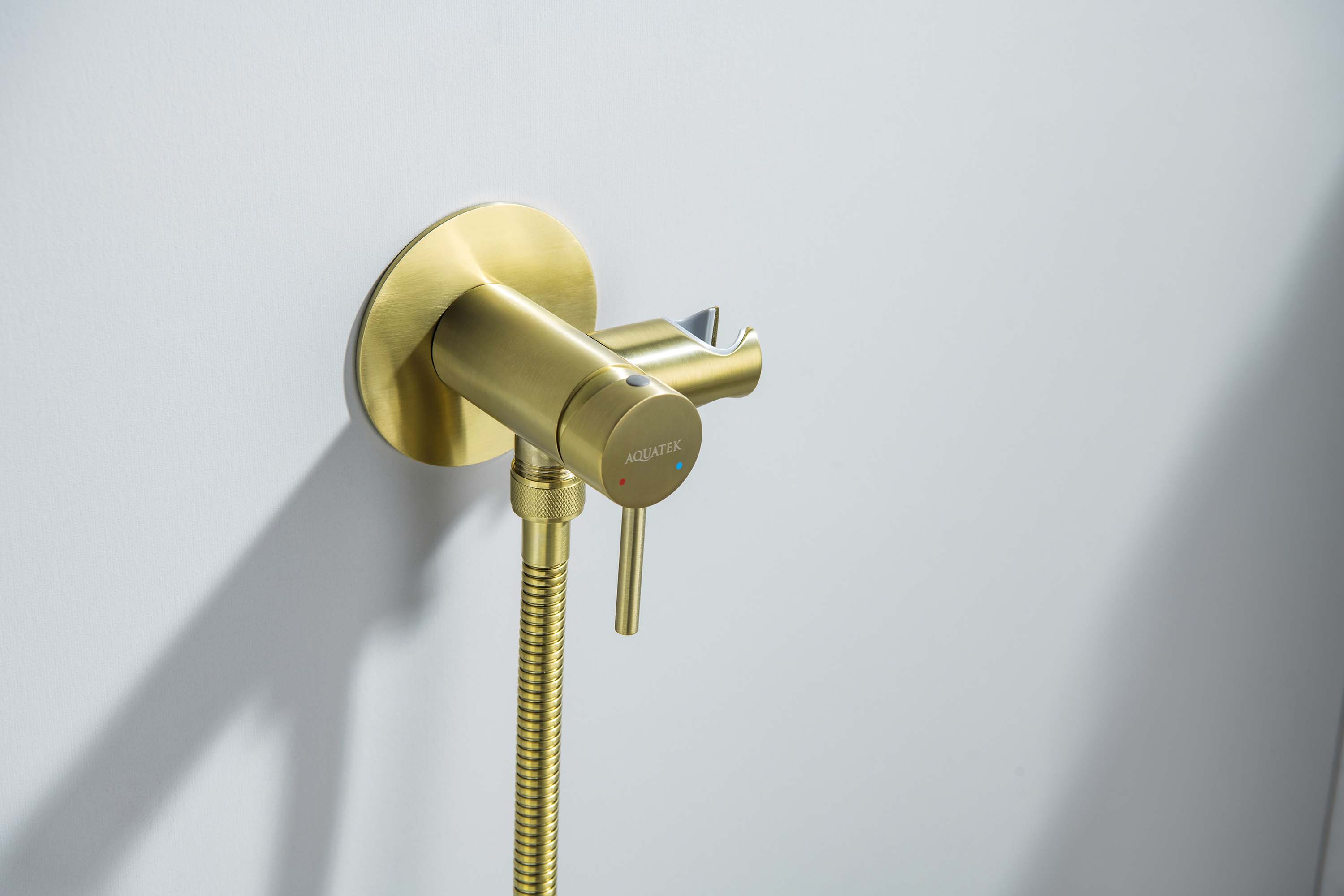 Встраиваемый гигниенический комплект Европа AQ1021BG шлифованное золото Aquatek