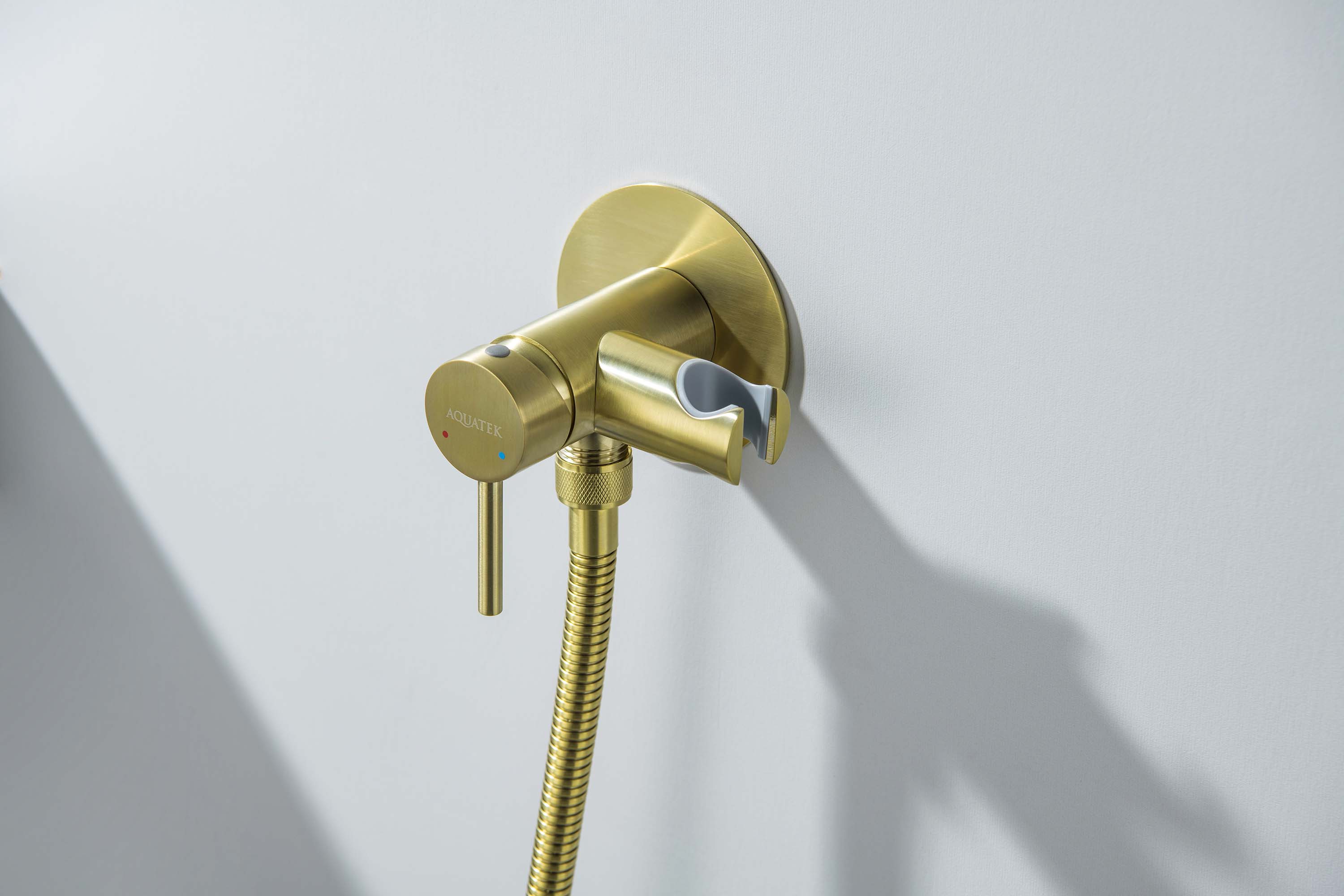 Встраиваемый гигниенический комплект Европа AQ1021BG шлифованное золото Aquatek