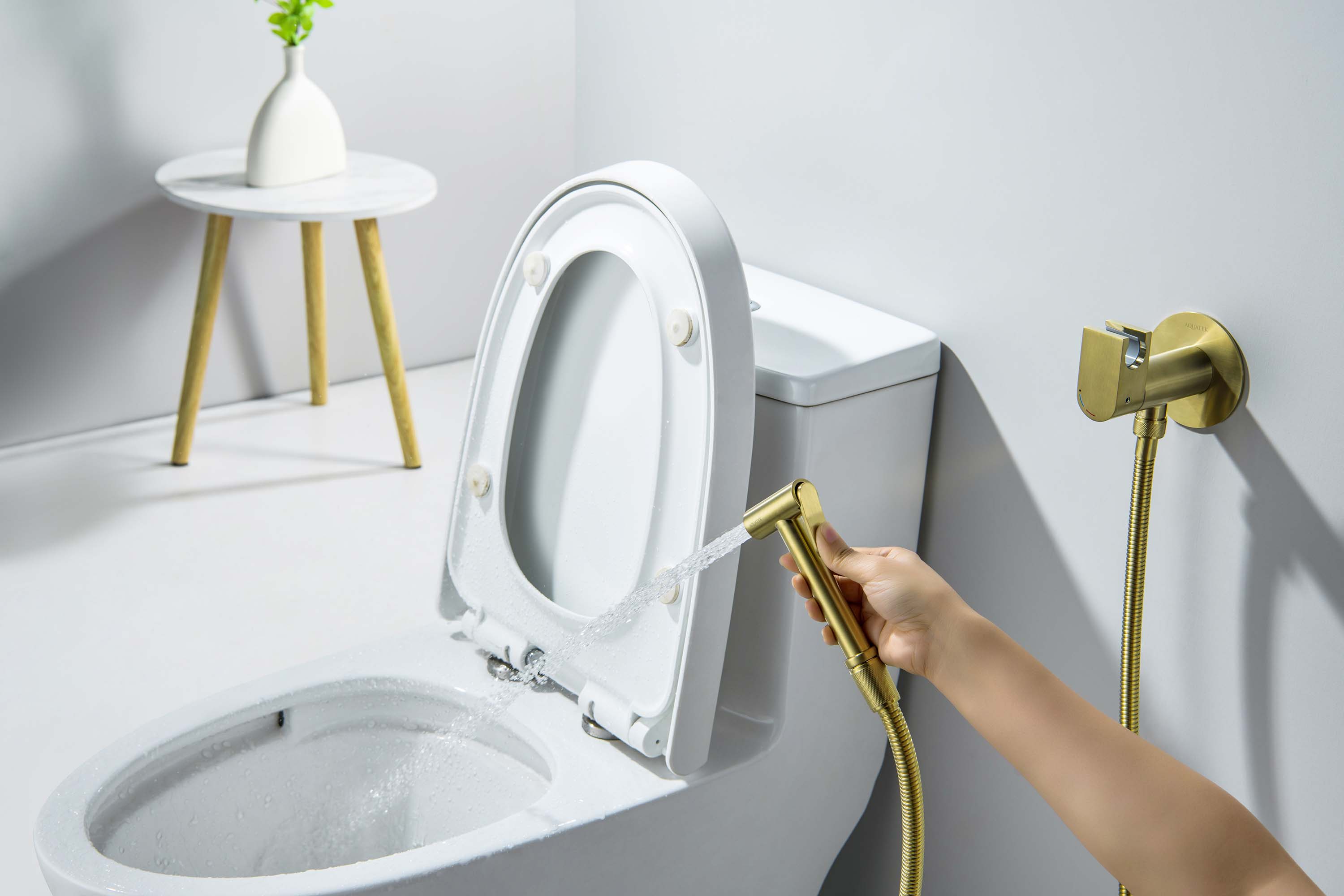 Встраиваемый гигиенический комплект Оберон AQ1024BG шлифованное золото Aquatek