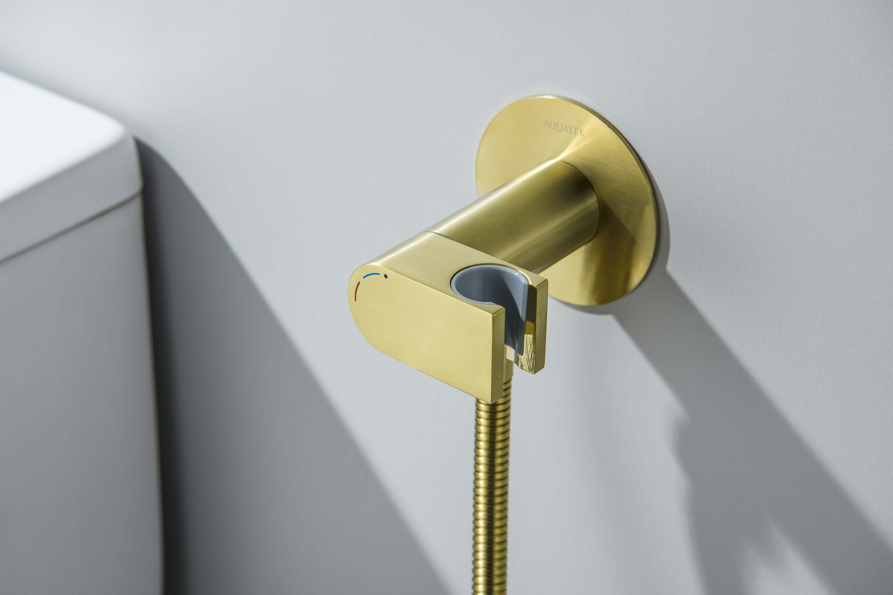 Встраиваемый гигиенический комплект Оберон AQ1024BG шлифованное золото Aquatek