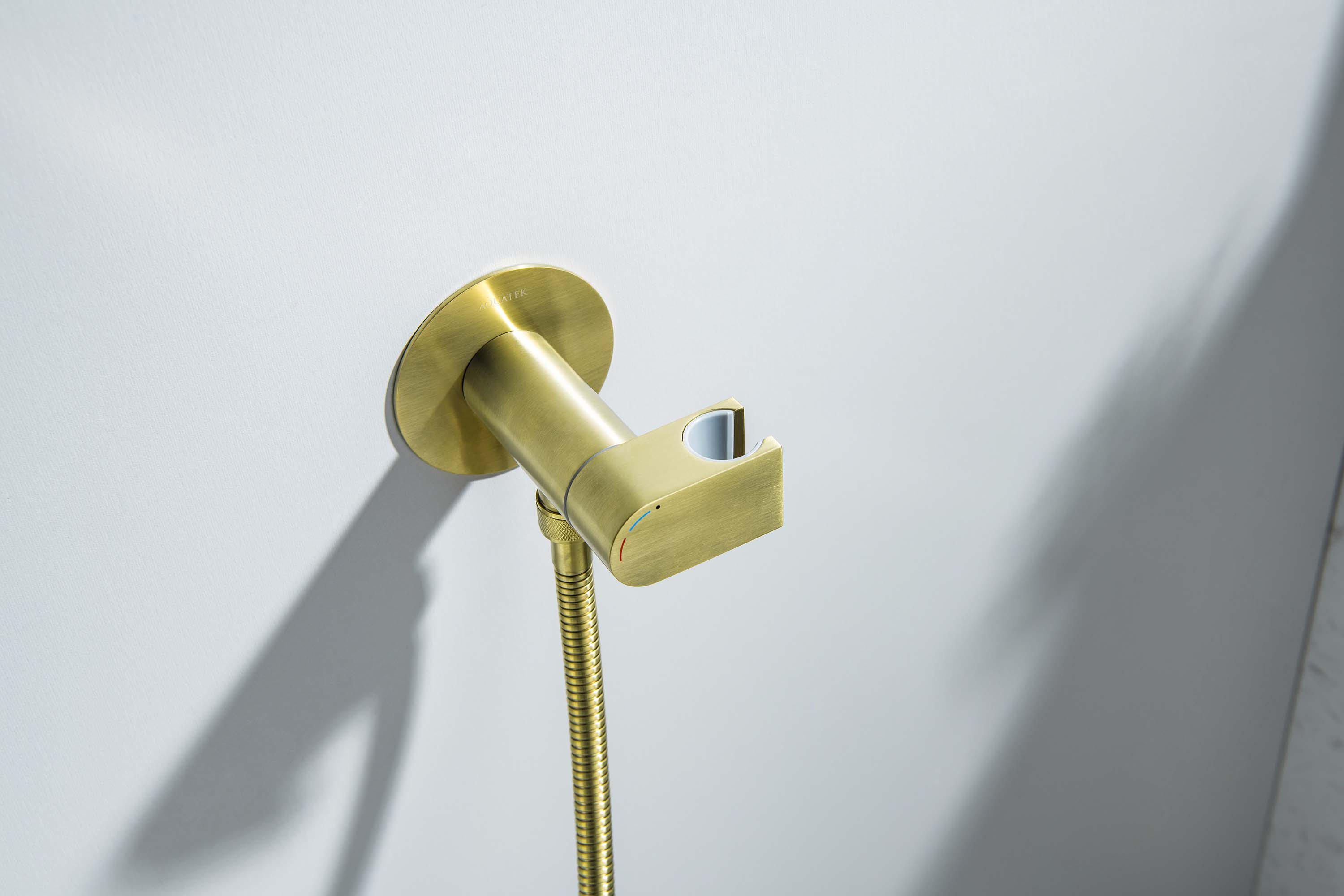 Встраиваемый гигиенический комплект Оберон AQ1024BG шлифованное золото Aquatek