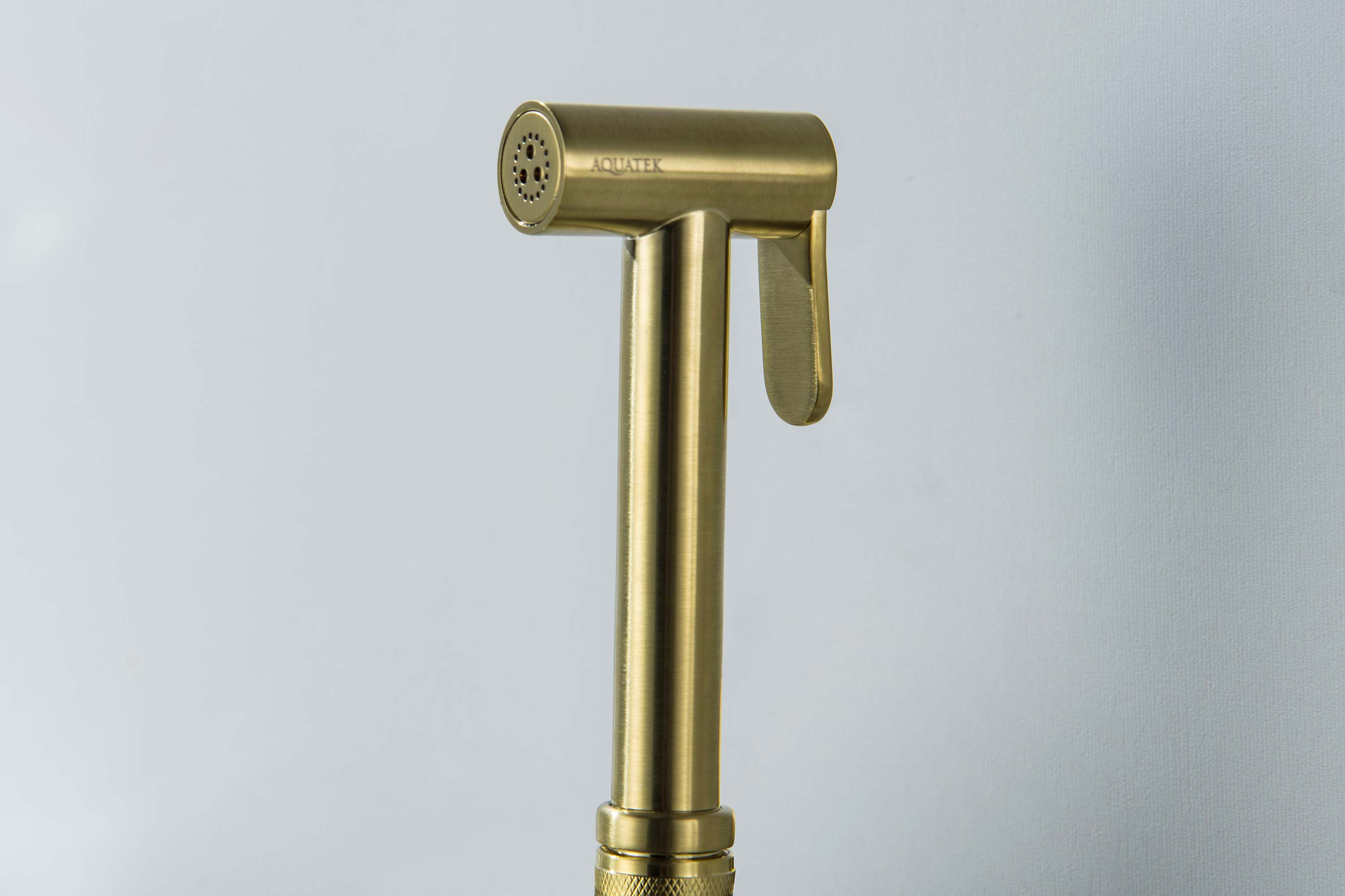 Встраиваемый гигиенический комплект Оберон AQ1024BG шлифованное золото Aquatek