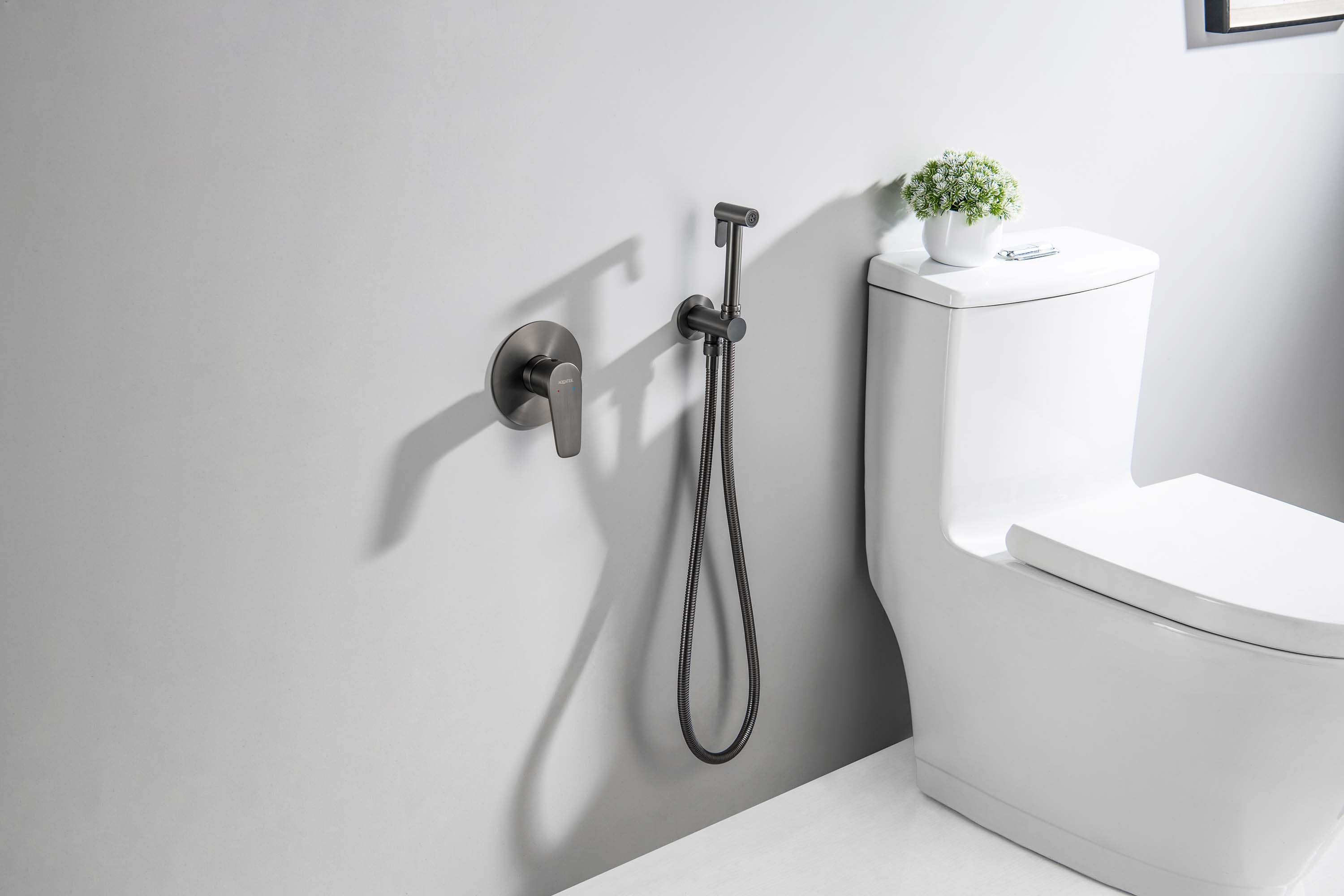 Встраиваемый гигиенический комплект Бетта AQ1119BGM оружейная сталь Aquatek