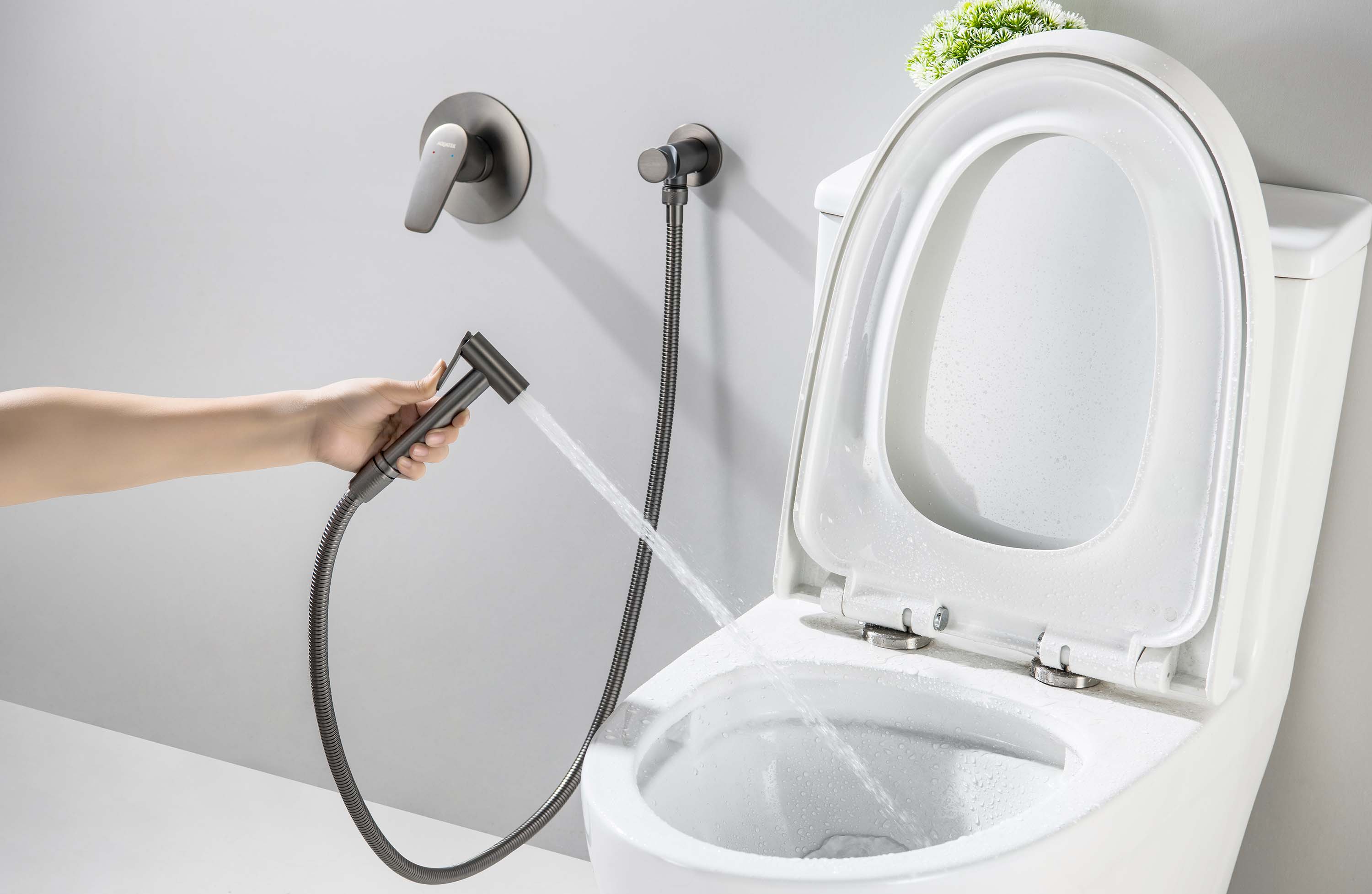 Встраиваемый гигиенический комплект Бетта AQ1119BGM оружейная сталь Aquatek