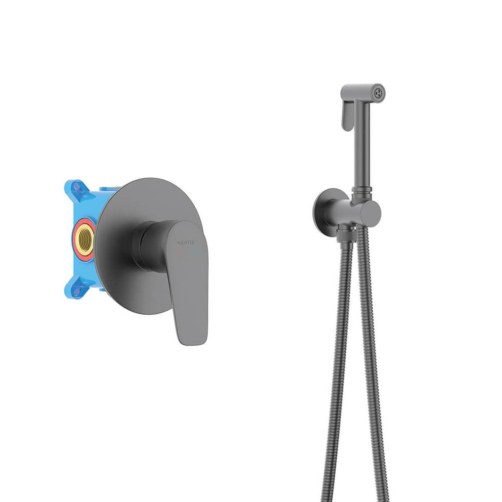 Встраиваемый гигиенический комплект Бетта AQ1119BGM оружейная сталь Aquatek