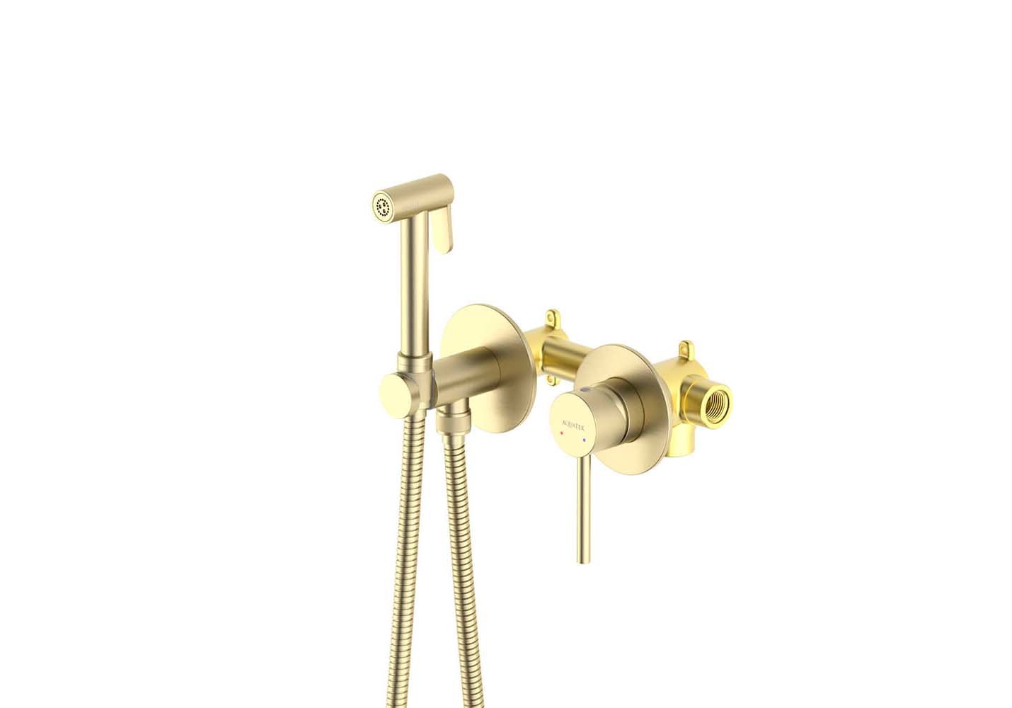 Встраиваемый гигиенический комплект Европа AQ1319BG шлифованное золото Aquatek