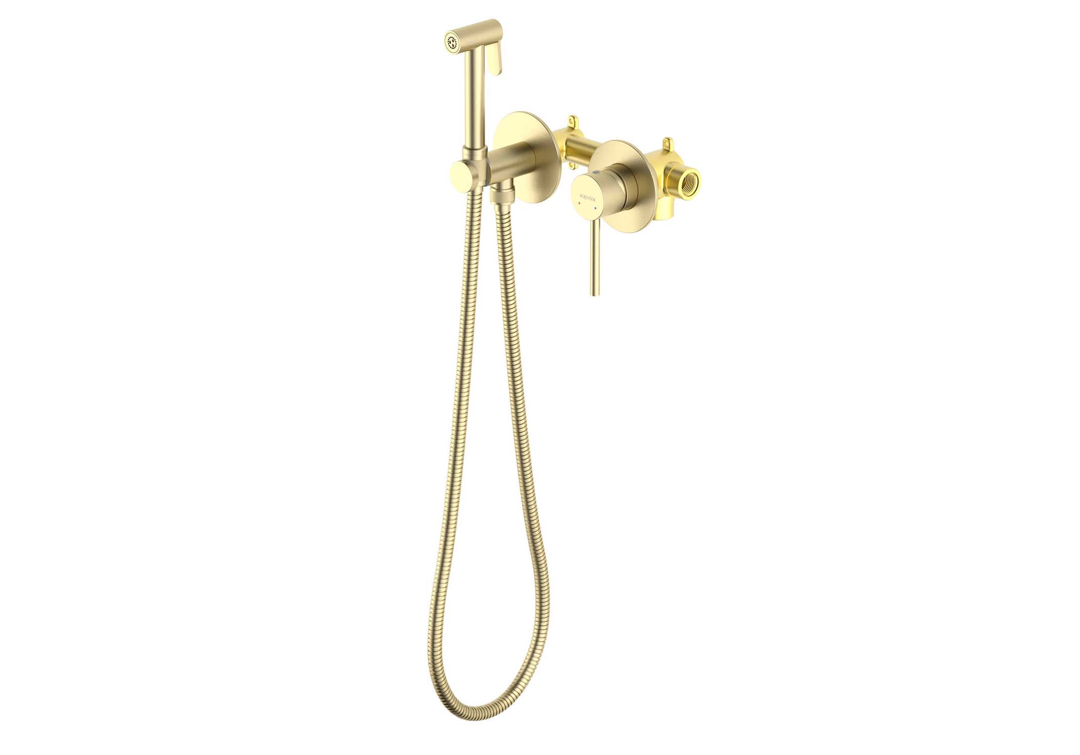 Встраиваемый гигиенический комплект Европа AQ1319BG шлифованное золото Aquatek