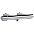 Смеситель для душа AVID с термостатом (хром) E97384-CP