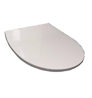 Сидение Victoria Nord (бел), с крышкой, микролифт, быстросъемн. Roca CS.Z.RU93.0.291.9