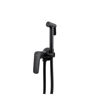 Встраиваемый гигиенический комплект Вега AQ1019BGM оружейная сталь Aquatek