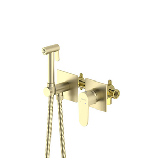 Встраиваемый гигиенический комплект Оберон AQ1220BG шлифованное золото Aquatek