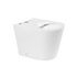 Чаша напольного унитаза FLAY-R BB2149CPR BelBagno