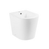 Биде напольное FLAY-R BB1003B BelBagno