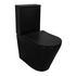Унитаз-компакт Black Queen AZ-8380 Azario